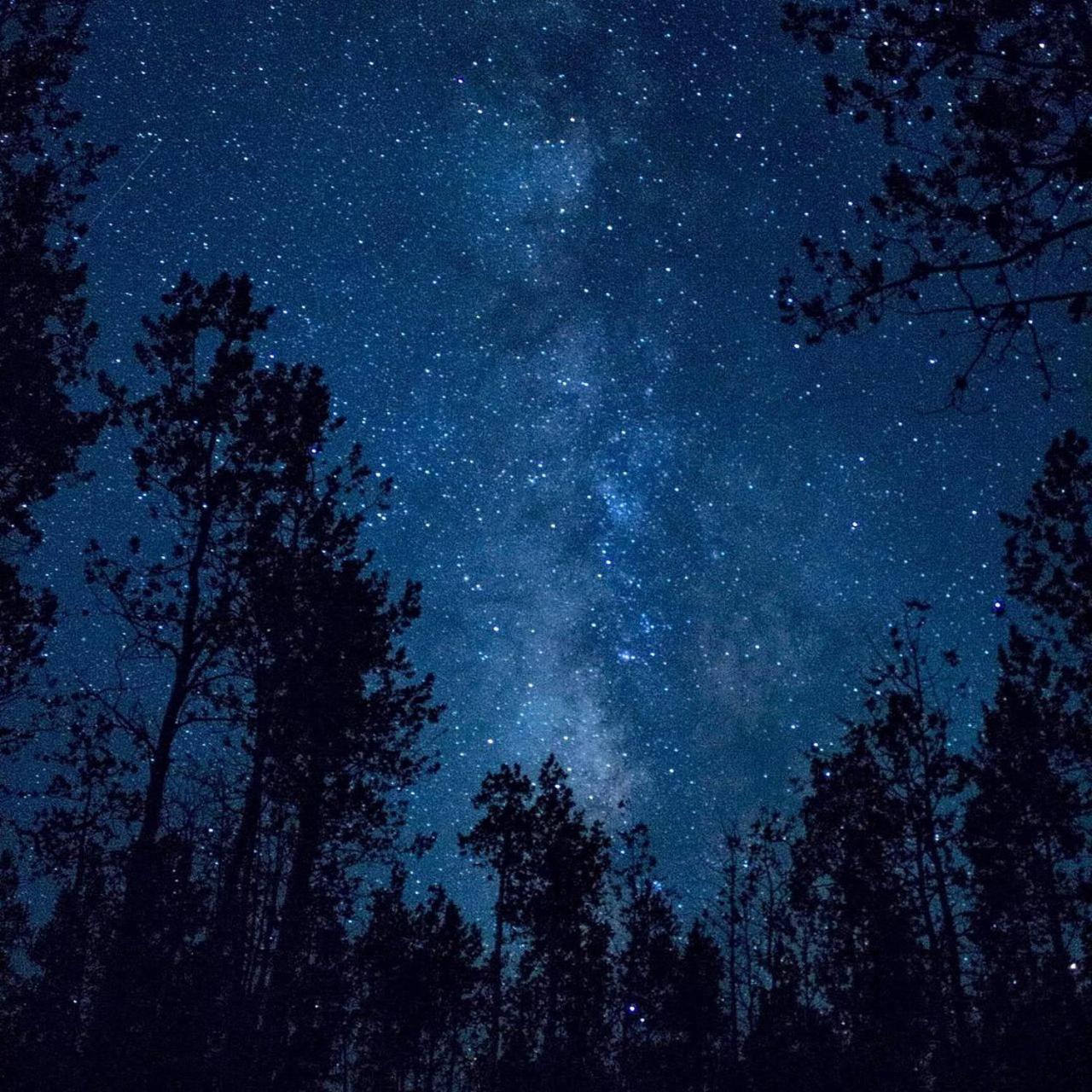 The Milky Way @ Pine Resort Fraser Hill Dış mekan fotoğraf